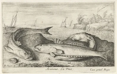 Três weevers manchados na praia Araneu. LaVie. (título no objeto) Peixes e outras criaturas marinhas - segunda série de água salgada (título da série) Poissons de mer (título da série)