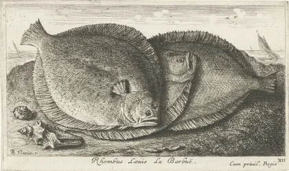 Três pintos na praia
Rhombus Laeuis La Barbuë (título sobre o objecto)
Peixes e outros animais marinhos - terceira série de água salgada (título da série)
Poissons de mer (título da série)