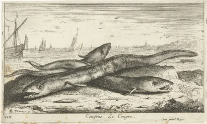 Três enguias do mar na praia Congresso Le Congresso. (título no objeto) Peixes e outras criaturas marinhas - primeira série de água salgada (título da série) Diverse Especes de Poissons de mer (título da série)