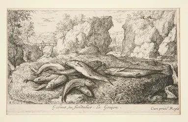 Gabius siue fundulus. Le Goujon