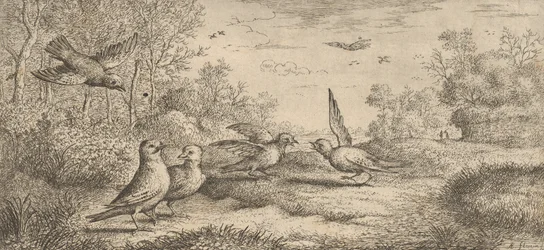 Garrulus, Get The Jay: Livre d