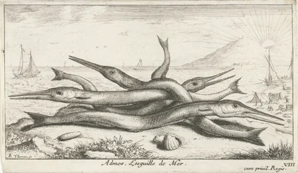 Pegada na praia
Admos. Lesguille de Mer (título sobre o objecto).
Peixes e outros animais marinhos - terceira série de água salgada (título da série)
Poissons de mer (título da série)