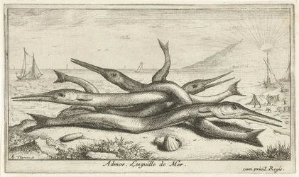 Pegada na praia
Admos. Lesguille de Mer (título sobre o objecto).
Peixes e outros animais marinhos - terceira série de água salgada (título da série)
Poissons de mer (título da série)