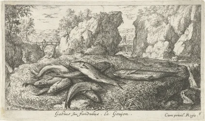 Gobies nas margens de um rio
Gabius siue fundulus. Le Goujon. (título sobre o objecto)
Peixes e outros animais marinhos - segunda série de água doce (título da série)
Seconde partie de Poissons d