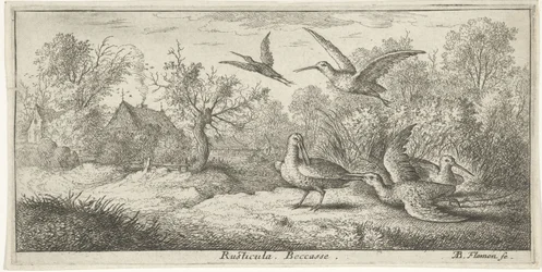 Paisagem com galinholas; Rusticula. Becasse. (título no objecto); Livro de aves (título da série); Livre d