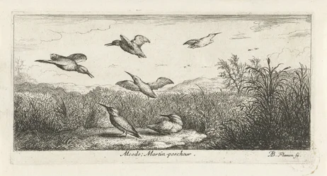 Paisagem com martim-pescador alcedo; Martin Pecrack. (título no objeto) Livro de pássaros (título da série) Livre d