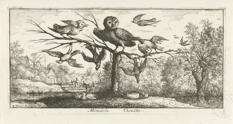 Paisagem com coruja de celeiro entre outras aves Monedula Chouette. (título no objeto) Livro de pássaros (título da série) Livre d