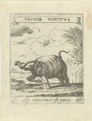 Elefante e cobra Moralizing Love Emblems (título da série) Devises et emblesmes d