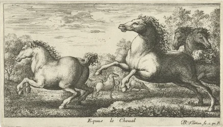 Cavalos Equus le Cheval (título no objeto) Diferentes espécies animais (título da série)