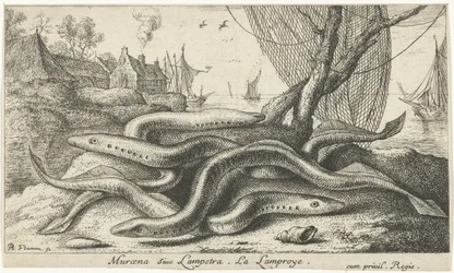Lampreias de rio numa margem
Muraena siue Lampetra. La Lamproye. (título sobre o objecto)
Peixes e outros animais marinhos - segunda série de água doce (título da série)
Seconde partie de Poissons d
