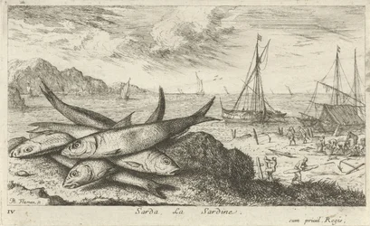 Sardinhas na praia
Sarda, La Sardine (título sobre o objecto)
Peixes e outros animais marinhos - primeira série de água salgada (título da série)
Diverses Especes de Poissons de mer (título da série)