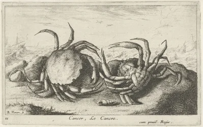 Dois caranguejos na praia Câncer, Le Cancre (título no objeto) Peixes e outras criaturas marinhas - primeira série de água salgada (título da série) Diverse Especes de Poissons de mer (título da série)