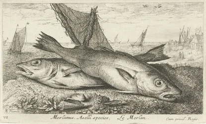 Dois badejos na praia
Merlanus. Espécie Aselli, Le merlan (título sobre o objecto).
Peixes e outros animais marinhos - primeira série de água salgada (título da série)
Diverses Especes de Poissons de mer (título da série)