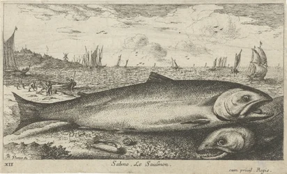 Dois salmões na praia Salmão. Le Saulmon (título no objeto) Peixes e outras criaturas marinhas - primeira série de água salgada (título da série) Diverse Especes de Poissons de mer (título da série)