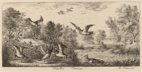 Vanellus, O Abibe