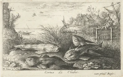 Quatro gorduchos na margem de um rio
Cortus Le Chabot. (título sobre o objecto)
Peixes e outros animais marinhos - segunda série de água doce (título da série)
Seconde partie de Poissons d