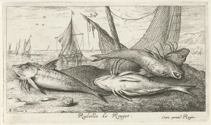 Quatro tainhas vermelhas na praia
Rubellio Le Rouget. (título sobre o objecto)
Peixes e outros animais marinhos - água salgada segunda série (título da série)
Poissons de mer (título da série)