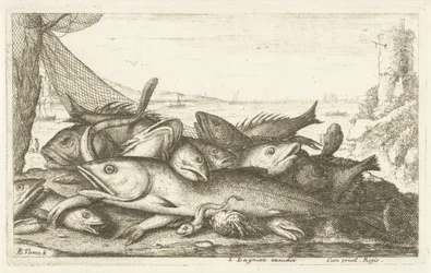 Pesca com caranguejo eremita
Diverses Especes De Poissons tant de Mer, que d