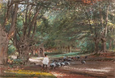 Burnham Beeches (aguarela e cor-de-rosa)
