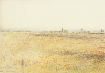 Campos de milho, Hooe. Bexhill on Sea (aguarela com tinta)