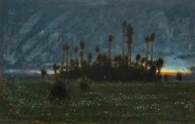 Pirilampos, Jamaica (aguarela com aguarela)