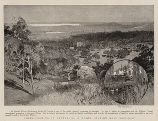 Ovinocultura na Austrália, uma estação modelo perto de Ballarat