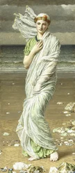 Conchas marinhas, 1875