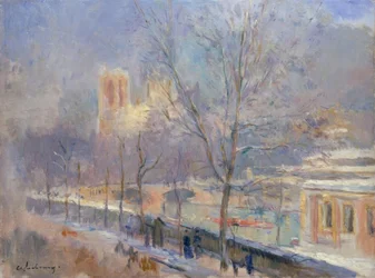 Notre-Dame de Paris vista do quai de la Tournelle, efeito de n