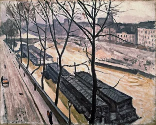 Paris no inverno. Quai Bourbon, 1907.