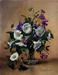 Convolvulus e ervilhas-de-cheiro em vaso de vidro (óleo sobre tela)