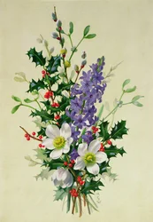 Pulverização de Dogrose, Holly, Mistletoe e Larkspur (1)
