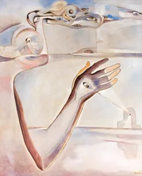 O olho e o espírito humano