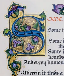 Fotografia de pormenor de caligrafia da letra S numa página iluminada de um livro de Sh...