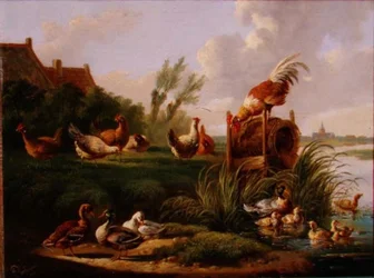 Patos e aves na margem de um rio