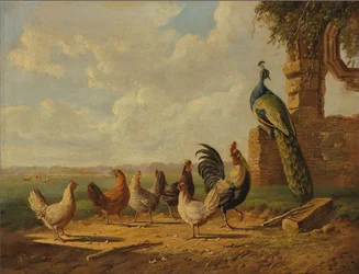 Galinhas e pavão numa paisagem