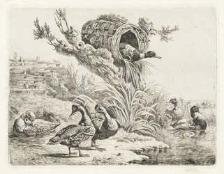 Patos à beira-mar