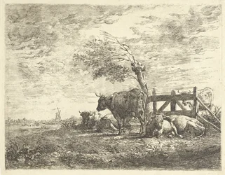 Vacas perto de uma cerca e de um salgueiro de sondagem