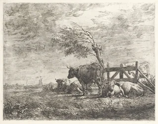 Vacas por uma cerca e um salgueiro do pollard