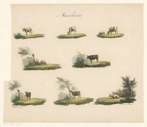 Vacas na paisagem Macedoine (título no objeto)