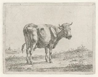 vaca em pé