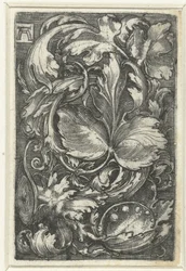 Ornamento com videiras folhosas
