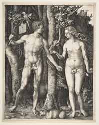 Adão e Eva, 1504