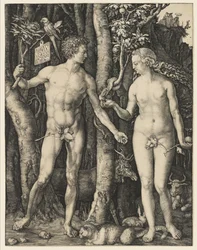 Adão e Eva, 1504
