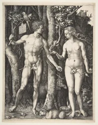 Adão e Eva, 1504.