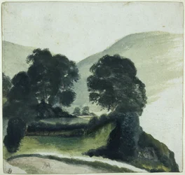 Grupo de árvores com caminho nas montanhas
