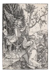 Joachim e o Anjo, de A Vida da Virgem, c. 1504.