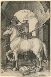 Cavalo pequeno