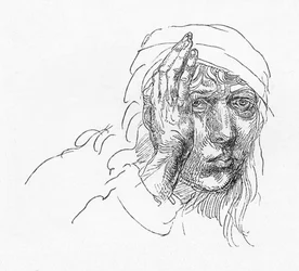 Retrato de Albrecht Durer quando menino., C1491, 1906
