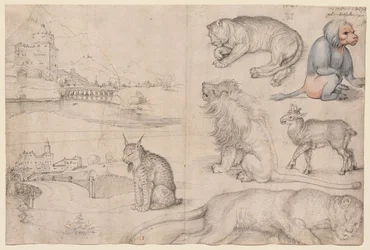 Esboços de animais e paisagens