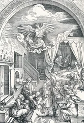 O nascimento da Virgem Maria, c1503-1504, 1906